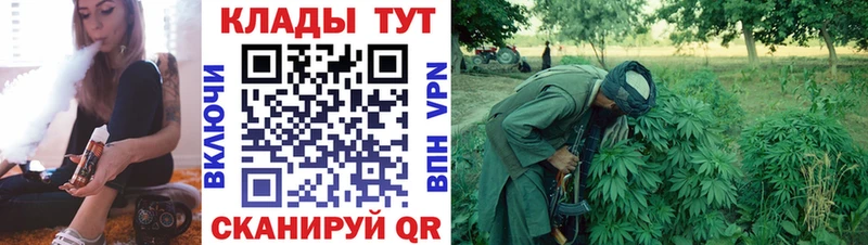 Как найти закладки Жуковский Гашиш  A-PVP  МЕФ 