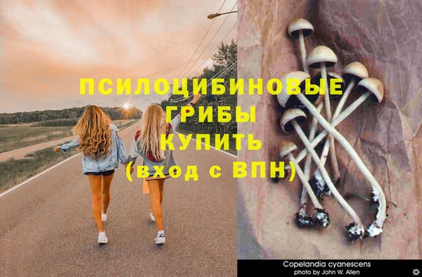 первитин Алзамай