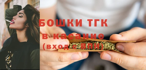 мет Алексин