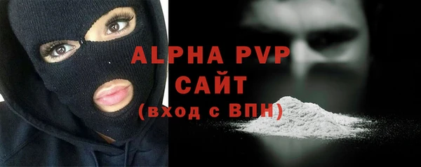 молекула духа Ельня