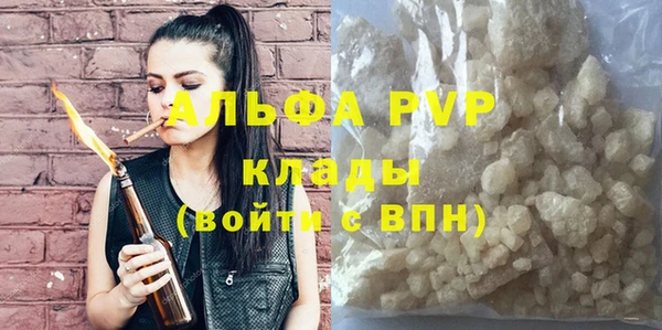 мет Алексин