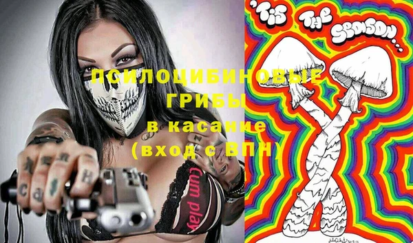 дурь Слюдянка