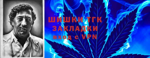 PSILOCYBIN Снежногорск