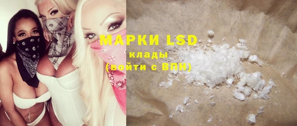 PSILOCYBIN Вязники
