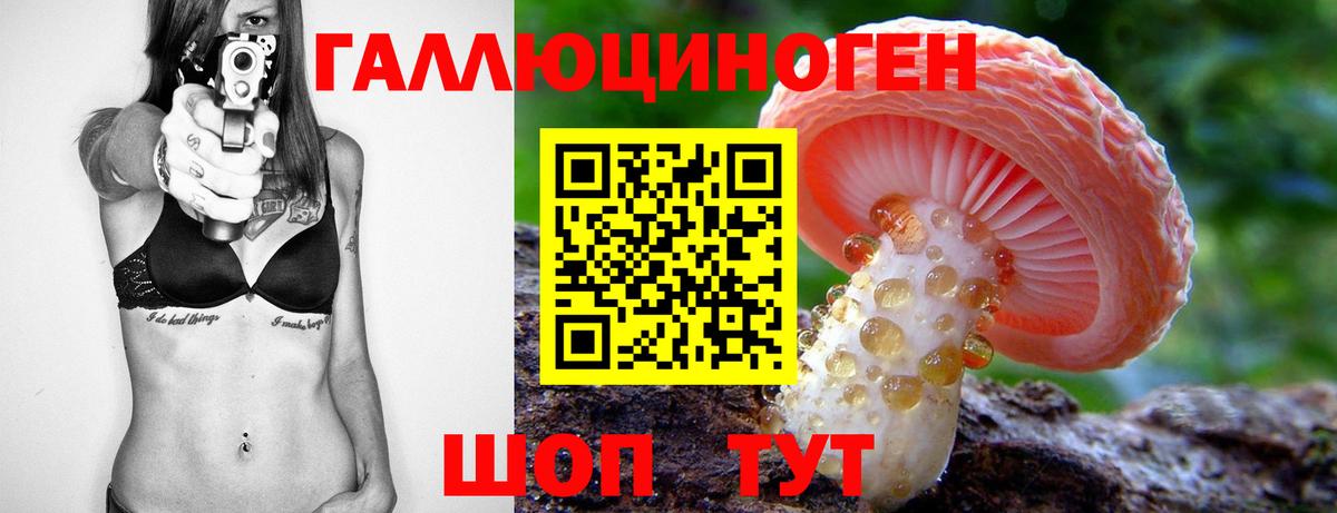 Псилоцибиновые грибы Psilocybe Жуковский