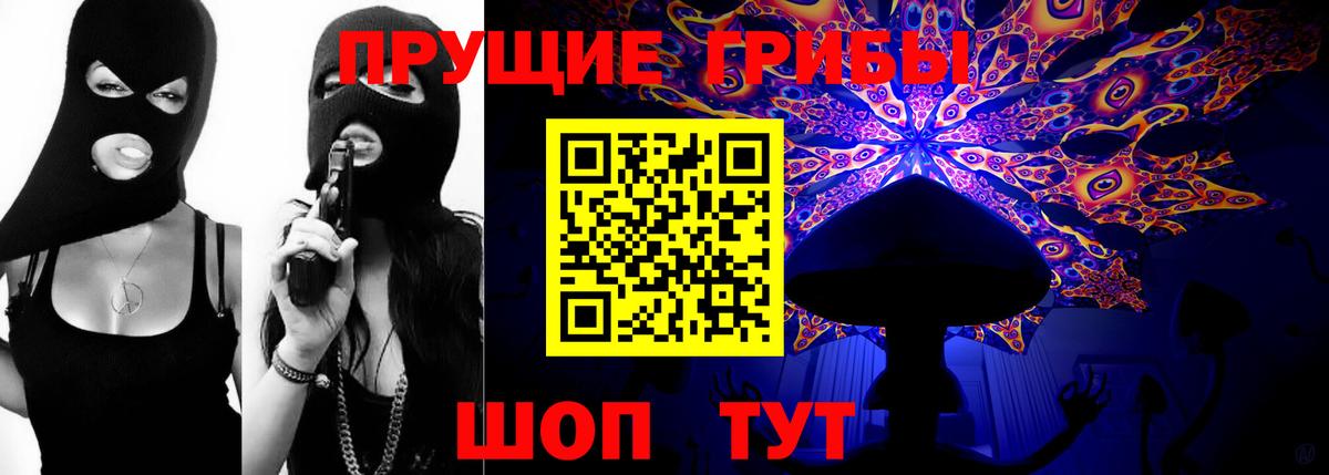 Жуковский  Псилоцибиновые грибы Cubensis  Вход с VPN 